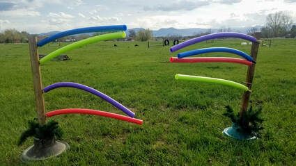 Obstacle Course - Home Made Horse Jumps Cowboy Curtains, Foam Noodles, Horse Jumps, Plastic Jugs, Pool Noodles, Obstacle Course, Horse Jumping, Home Made, Noodles