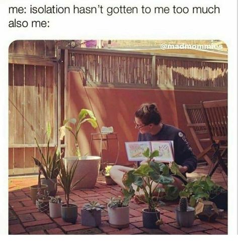 60 Plant Memes For You To Dig Through - Funny Gallery Plant Jokes, Gardening Memes, نباتات منزلية, Gardening Humor, Most Popular Memes, Parenting Memes, Plant Mom, Plant Lady, Plant Life