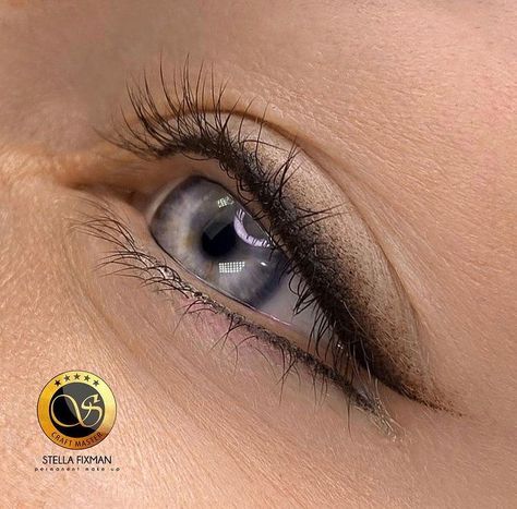 Tatoo Eyeliner, Mircoblading Eyebrows, Permanent Makeup Eyeliner, Permanente Make-up, Permanent Eyeliner, Eyelash Enhancer, Brunette Makeup, Eyeliner Tattoo, Permanent Makeup Eyebrows