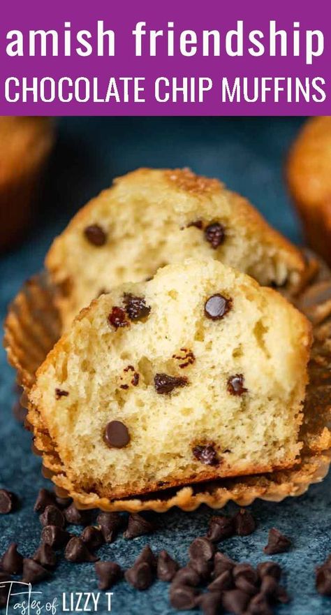 A kid-friendly way to use up that Amish sourdough starter. Amish Friendship Chocolate Chip Muffins have a soft, fluffy texture with a lightly sweet flavor. via @tastesoflizzyt Friendship Muffins Starter, Blueberry Amish Friendship Bread, Amish Friendship Muffins, Recipes With Amish Friendship Bread Starter, Amish Friendship Bread Muffins, Amish Friendship Bread Starter Recipes Muffins, Amish Bread Recipes From Starter, Amish Friendship Recipes, What To Make With Amish Friendship Bread Starter