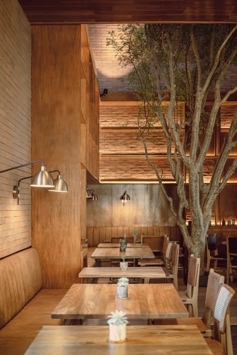 Gallery of Sal de Jade Restaurant / 0studio Arquitectura - 14 Modern Rustic Restaurant Interior, Biophilic Restaurant, Rustic Modern Restaurant, Modern Rustic Restaurant, Natural Restaurant, Sparks Nevada, Housing Building, Mass Timber, Restaurant Designs