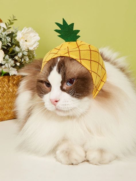 Pineapple Design Pet Hat | SHEIN USA Pineapple Hat, Pineapple Design, Face Art, Pineapple, Crochet Hats, Hats, Crochet, Design, Art