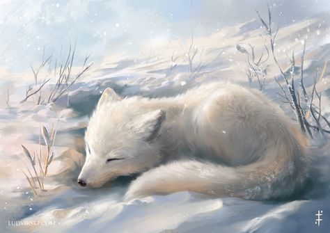 ArtStation - Happy Holidays! 2017, Ludvik Skopalik Volpe Artica, Caine Husky, Pet Anime, Wolf Spirit Animal, 강아지 그림, Animated Animals, Animal Drawing, Wolf Pictures, Arctic Fox