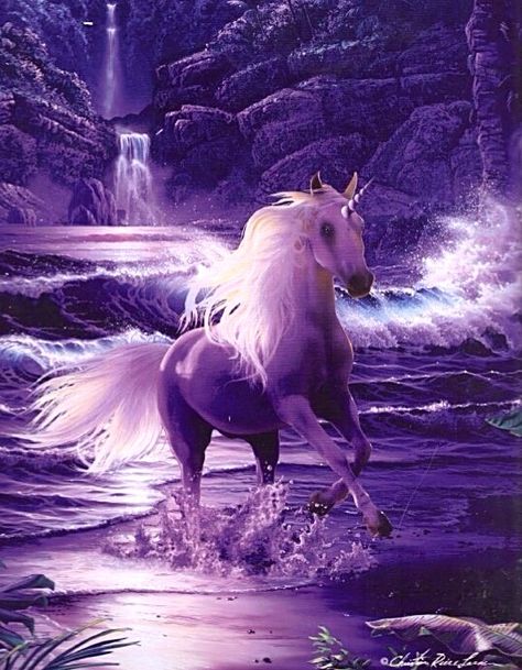 Unicorn - one of the National animals of Scotland. Tis true! Horse With Wings, Pet Anime, Unicorn Artwork, Creature Fantasy, Unicorn And Fairies, Pegasus Unicorn, Unicorn Tattoos, Unicorn Pictures, Fantasy Horses