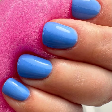 STUNNING! 😍 Cornflower Blue No. 101 🔹 Now Available at website harunailsshop.com, Write new color and we’ll send you the link to access all last new colors 🫰🏼. Cornflower Blue, New Color, Nails, Blue, Quick Saves, Color