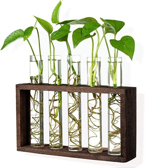 Amazon.com: PACDONA - Estación de propagación de vidrio para colgar en la pared con soporte de madera, soporte para terrario de plantas hidropónicas suculentas plantas de bambú con 5 tubos de ensayo : Patio, Césped y Jardín Tabletop Terrarium, Hanging Glass Planters, Tanaman Air, Test Tube Vase, Bulb Vase, Plants Home, Terrarium Containers, Hydroponic Plants, Garden Wedding Decorations