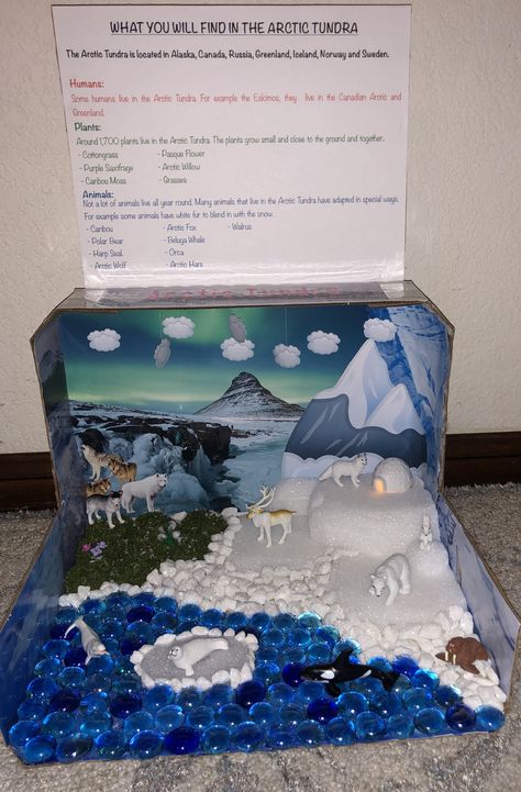 2nd grade biome project Antarctica Ecosystem Project, Arctic Tundra Ecosystem Project, Marine Biome Project, 1st Grade Diorama Project, Arctic Animal Habitat Project, Biome In A Box Project Tundra, Artic Ecosystem Project, Shoebox Biome Project, Artic Habitat Diorama