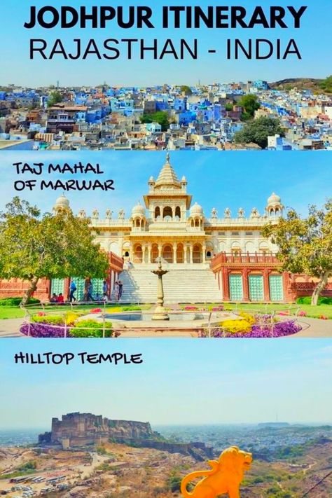 Jodhpur was historically the capital of the Kingdom of Marwar, which is now part of Rajasthan. Jodhpur is a popular tourist destination, featuring many palaces.
#rajasthan #rajasthani #rajasthantourism #rajasthandiaries #rajasthanroyals #rajasthan_tourism #rajasthan_diaries #rajasthaniculture #rajasthani_style #rajasthanijewellery #rajasthanistyle #rangeelorajasthan #rajasthanifood #rajasthantrip #igersrajasthan #incrediblerajasthan #jodhpur #jodhpuri #jodhpurdiaries #jodhpurcity #jodhpurisuit Rajasthan Tourism, Kartik And Naira, Taj Mahal India, Zip Lining, Rajasthan India, Historical Place, Jodhpur, Best Places To Visit, India Travel