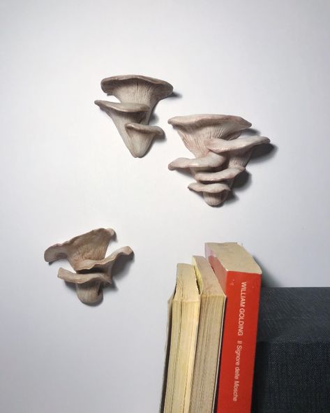 Shelf Mushroom Art, 3d Mushroom Painting, Ceramic Mushroom Wall Art, Air Dry Clay Mushroom Wall Decor, Mushroom Wall Sculpture, Mushroom Sculpture Art, Mushroom Ceramics Pottery, Diy Mushroom Sculpture, Clay Mushroom Shelves