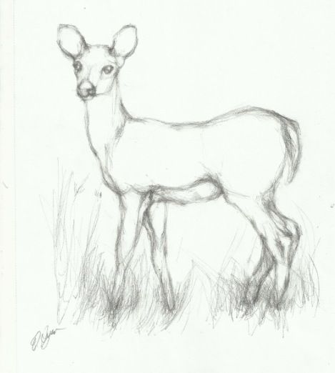 Deer drawings Drawings Of Deer, Pencil Sketches Of Animals, Deer Drawing Easy, Easy Realistic Drawings, Deer Drawings, Easy Charcoal Drawings, Deer Sketch, Easy Pencil Drawings, Easy Christmas Drawings