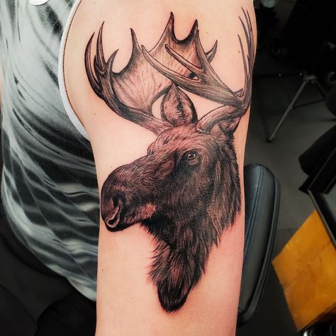 Moose Tattoo, Deer Tattoo Designs, Wildlife Tattoo, Hunting Tattoos, Animal Sleeve Tattoo, Gem Tattoo, Wolf Tattoo Sleeve, Native Tattoos, Bestie Tattoo