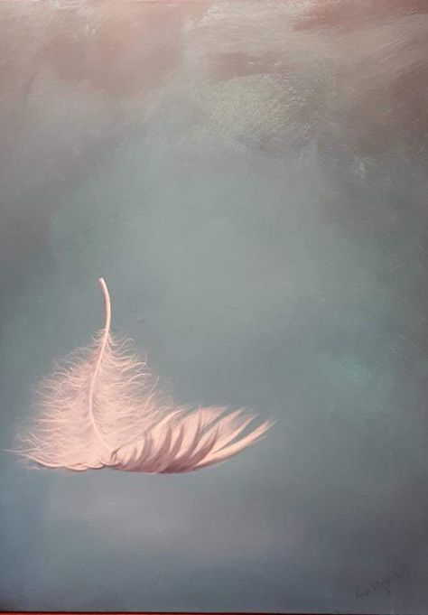 White Feathers Aesthetic, Feathers Aesthetic, White Feathers, Bird Feathers, Pink Aesthetic, Feathers, Abstract Artwork, Birds, Angel