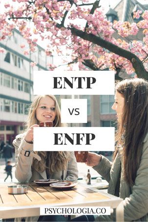 ENTP vs. ENFP #entp #enfp #myersbriggs #16personalities #personality #psychology Enfp Infp, Entp Personality Type, Infp Personality Type, Myers Briggs Personality Test, Enfp Personality, Personality Psychology, Infp Personality, Psychological Facts, Myers Briggs Personality Types