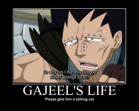 Poor Gajeel. #Fairy Tail Funny Fairy Tail, Funny Fairy, Fairy Tail Meme, Fairy Tail Funny, Fariy Tail, Fairy Tail Love, Anime Fairy Tail, Fairy Tale Anime, Fairy Tail Guild