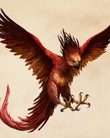 Phoenix | Harry Potter Wiki | FANDOM powered by Wikia Harry Potter Creatures, Phoenix Harry Potter, Harry Potter Wiki, Beast Creature, Harry Potter Tattoos, Ancient Mythology, Hogwarts Mystery, Phoenix Tattoo, Fantastic Beasts And Where