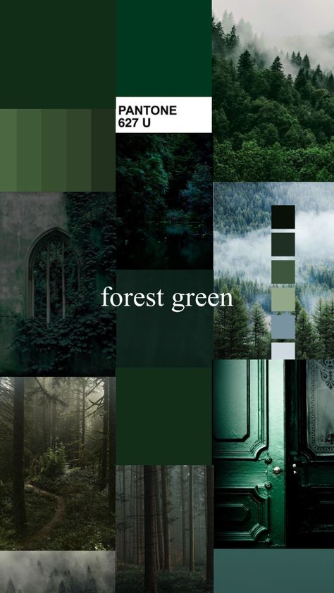 Wellness Colors Palette, Mushroomcore Bedroom, Forest Green Bedrooms, Dark Home Decor, Dark Green Aesthetic, Forest Color, Color Schemes Colour Palettes, Green Palette, Dark Home