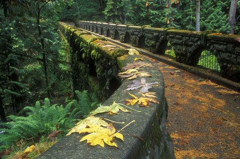 Bridge at Whatcom Falls- Bellingham, WA favorite place for my walks T Photo, Freelance Photography, Evergreen State, Bellingham Wa, Autumn Park, Quotes Art, Field Notes, Art Love, Nature Travel