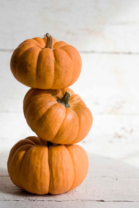 Stacked Pumpkins Painting, 3 Pumpkins Stacked, Pumpkin Stack, Paper Mache Pumpkins, Fall Decor Diy Crafts, Autumn Ideas, Stacked Pumpkins, Halloween Painting, Carving Ideas