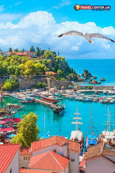 Amazing eyes on X: "Antalya, Turkey 🇹🇷 https://t.co/Y2O9StxGjX" / X Turkey Beach, Sea Gulls, Turkey Travel Guide, Hotels In Turkey, Amazing Eyes, Travel Photoshoot, Visit Turkey, Book Flights, Turkey Destinations