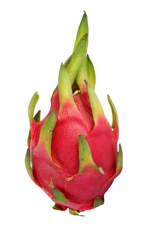 Fruit Reference Photos For Artists, Fruit Drawing Reference, Fruit Reference Photo, Dragon Fruit Aesthetic, Dragon Fruit Drawing, Fruit References, Fruit Reference, Drawing Dragon Ball, Dragons Drawings