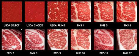 Why Grass Finished Beef Marbling Is Difficult – On Pasture Wagyu Meat, Kobe Steak, Beef Steaks, Beef Cow, Japanese Beef, Prime Steak, Kobe Beef, Steak Cuts, Wagyu Beef