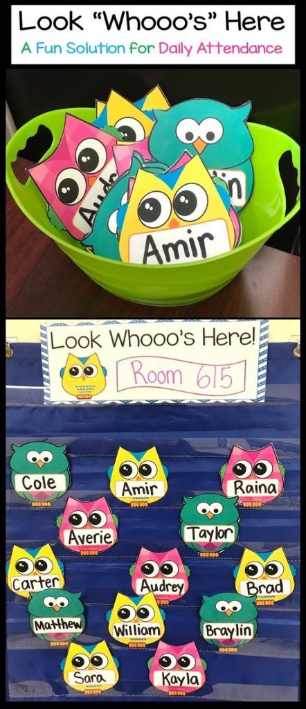 Attendance Display, Attendance Board, Preschool Classroom Organization, Owl Theme Classroom, Owl Classroom, Infant Classroom, Preschool Rooms, Prek Classroom, Toddler Classroom