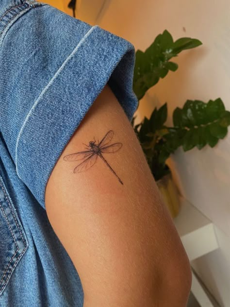 Damselfly Tattoo, Blue Dragonfly Tattoo, Small Tattoos Traditional, Tattoo Pricing, Aftercare Tattoo, Dragon Fly Tattoo, Placement Tattoo, Dragonfly Tattoos, Tattoo Healing Process