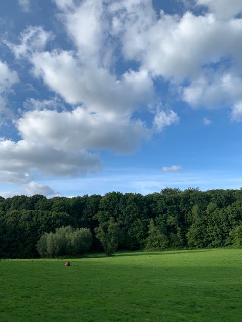 Big Field Backyard, Open Field Aesthetic, Locations Aesthetic, Sunny Field, Manifesting 2024, Baby Olive, Greek Vacation, Green Scenery, Grassy Field