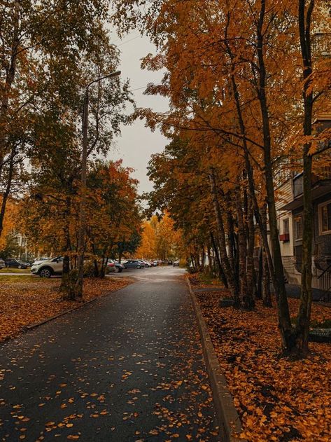 Autumn View Aesthetic, Autumn Walk Aesthetic, Autumn City Aesthetic, Autumn Layout, Autumn America, Spooky Halloween Pictures, Autumn Phone Wallpaper, Cozy Rainy Day, City Rain