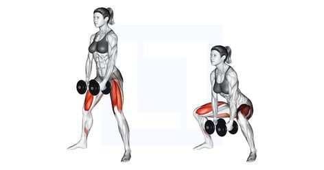 Dumbell Squats, Squats Muscles Worked, Benefits Of Squats, Squat Form, Dumbbell Workouts, Sciatica Symptoms, Squat Variations, Lower Body Muscles, Weighted Squats