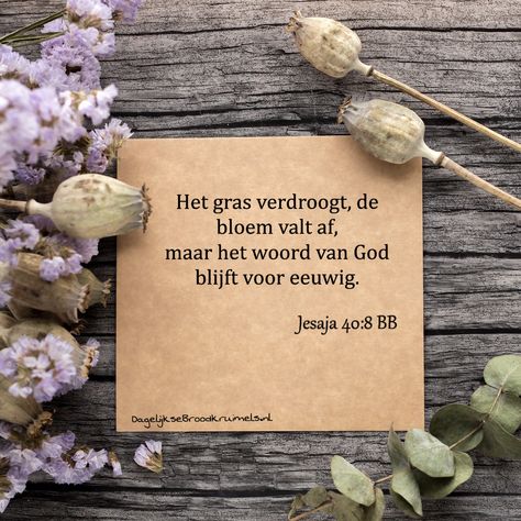 Het gras verdroogt, de bloem valt af, maar het woord van God blijft voor eeuwig. Jesaja 40:8      #Eeuwig, #GodsWoord  https://www.dagelijksebroodkruimels.nl/jesaja-40-8-2/ Scripture Photography, Catchy Words, Bible Board, Woord Van God, Proverbs 21, Scripture Memorization, Bible Truths, Memorization, Awesome God