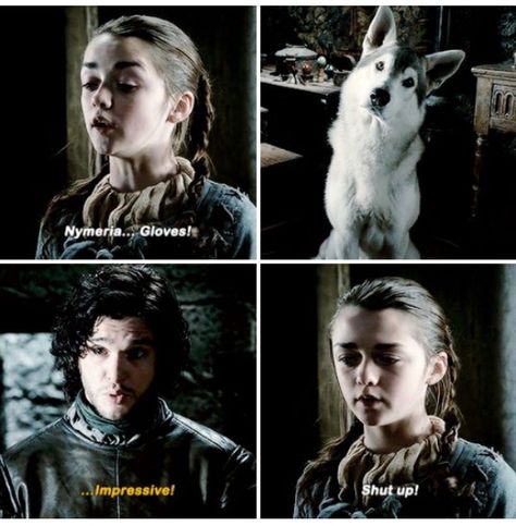 Sansa Jon, Jon And Arya, Game Of Thrones Girl, Game Of Thrones Meme, Stark Family, Valar Dohaeris, Game Of Thrones Tv, Got Game Of Thrones, Game Of Thrones Quotes