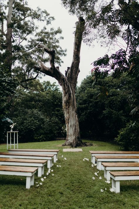 Outdoor Ceremony Altar, Outdoor Aisle Markers, Wedding Ceremony Backyard, Wedding Ceremony No Arch, Simple Outdoor Ceremony, Outdoor Aisle, Park Wedding Ideas, Simple Wedding Ceremony, Forest Ceremony