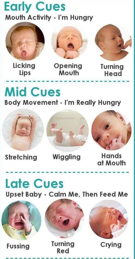 Nclex Questions, Baby Routine, Newborn Feeding, Newborn Baby Tips, Newborn Mom, Baby Information, Baby Life Hacks, Baby Facts, Baby Planning