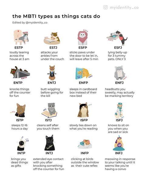 MBTI memes, MBTI cats Mbti Animals Personality Types, Cats Personalities, Mbti Scenarios, Mbti Types Funny, Mbti Cats, Mbti As Animals, Mbti As Aesthetics, Mbti Animals, Mbti Memes