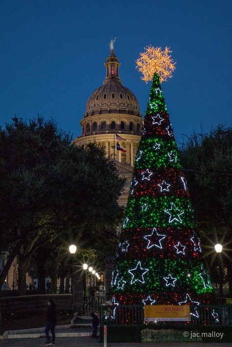 https://flic.kr/p/2kk9iZK | Christmas in Austin San Antonio Texas Christmas, Austin Texas Christmas Things To Do In, Christmas In Austin Texas, Austin Texas Christmas, Christmas In Houston Texas, Austin Christmas, Texas Christmas Tree, Texas Christmas, Austin Texas