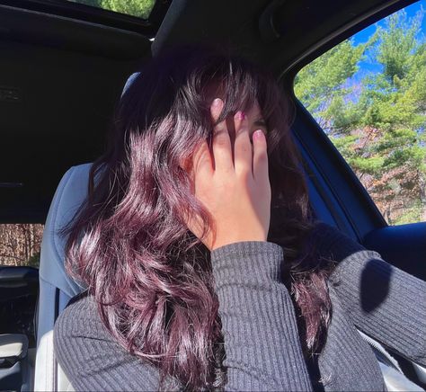 Purple On Light Brown Hair, Purple Tinted Hair Brown, Purple Tint Hair Brown, Purple Undertone Hair Brown, Purple Red Brown Hair, Purple Toned Brown Hair, Brown With Purple Undertones, Purple Brunette, Purple Hair Dark