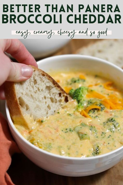 This easy, creamy broccoli cheddar soup recipe is even better than Panera's. Make it with fresh or frozen broccoli for a quick dinner! Easy Broccoli Cheddar Soup, Creamy Broccoli Cheddar Soup, Cheddar Soup Recipe, Broccoli Cheddar Soup Recipe, Broccoli Cheese Soup Recipes, Cheese Soup Recipes, Broccoli Soup Recipes, Creamy Broccoli, Broccoli Cheese Soup