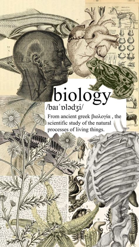 biology cover Biotechnology Art, Biology Major, Biology Projects, Study Biology, Medical School Life, Wildlife Biologist, Biology Labs, Biology Art, Medical Laboratory Science