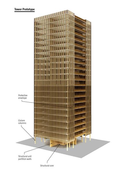 Wooden Skyscraper, Green Building Architecture, Architect Magazine, Timber Architecture, Wooden Building, Out On A Limb, Wooden Buildings, Green Architecture, Star Constellations