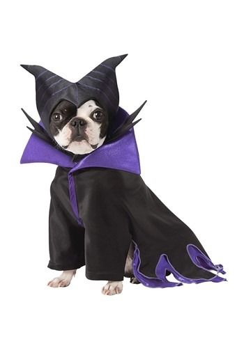 Mysterious Dress, Disney Dog Costume, Maleficent Disney Villains, Big Dinner, Maleficent Costume, Disney Maleficent, Halloween Tree, Pet Halloween Costumes, Puppy Dog Eyes