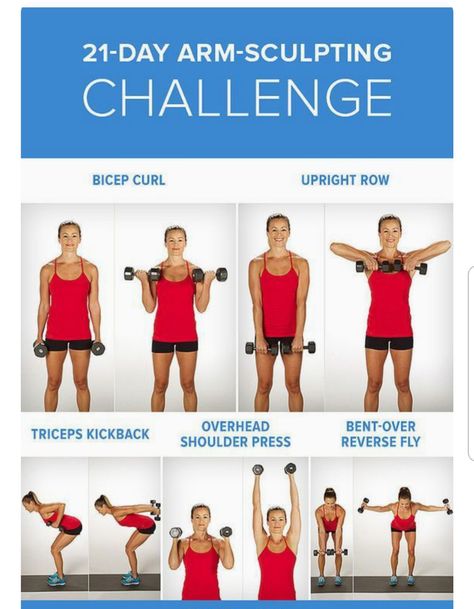 Arm circuit. Do 3 reps of 15. Use 5lb weights, increase when it gets easier Easy Arm Workout, Arm Challenge, Arm Workouts At Home, Tone Arms Workout, Fitness Memes, Arm Workout Women, Lose Arm Fat, Arm Workouts, Arm Fat