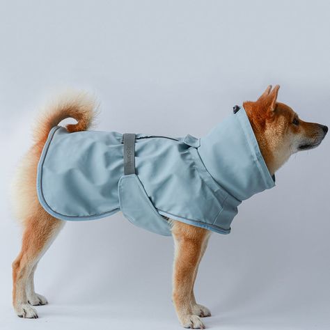 Raincoat Pattern, Dog Gadgets, Dog Raincoat, Hairless Cat, Rainy Weather, Dog Jacket, Pet Costumes, Rain Coat, Dog Dresses