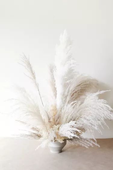 White Fall Decor Ideas, Grass Centerpiece, Deco Champetre, Pampas Grass Bouquet, Grass Decor, Pampas Grass Decor, Thanksgiving Diy, Turkey Day, Dried Floral