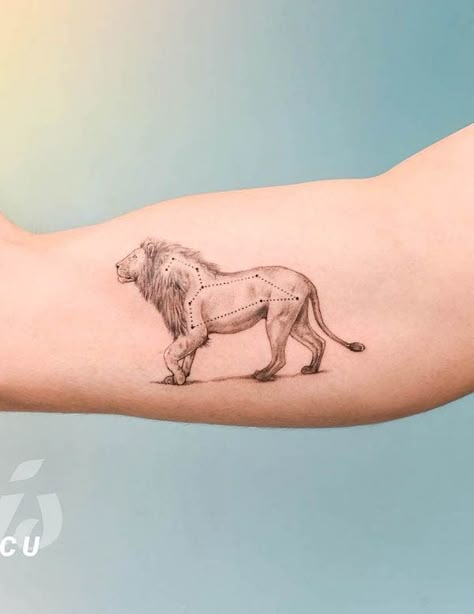 Leo Tattoo Men Zodiac Signs, Men’s Leo Tattoo, Aries Leo Tattoo, Leo Tattoo Men, Leo Back Tattoo, Lion Body Tattoo, Leo Tattoo For Men, Cute Lion Tattoo, Leo Inspired Tattoos