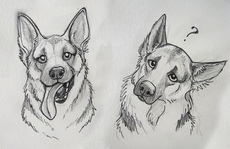 German shepherds Drawings Of Dogs, Face Sketches, Drawing Animals, Dog Sketch, Cute Sketches, Arte Sketchbook, Animal Sketches, Floral Artwork, Dog Drawing