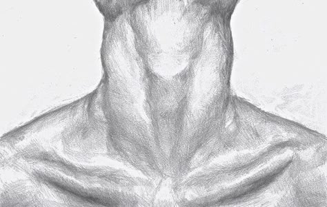 ترقوه Collar Bone Drawing, Bone Drawing, Hipster Drawing, Pencil Drawing Tutorials, Anatomy Sketches, 캐릭터 드로잉, Collar Bone, Pencil Art Drawings, A Pencil