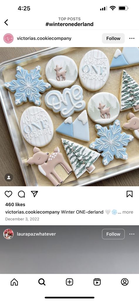 Winter Baby First Birthday Boy, Winter Onederland Sugar Cookies, Winter In Onederland Party Ideas, Winteroneder Land Theme Party Boy, Winter Onederland Cookies Boy, Winter Onederland Party Boy Decorations, Winter Onederland Cake Boy, December First Birthday Boy, Winter Onederland Birthday Party Boy