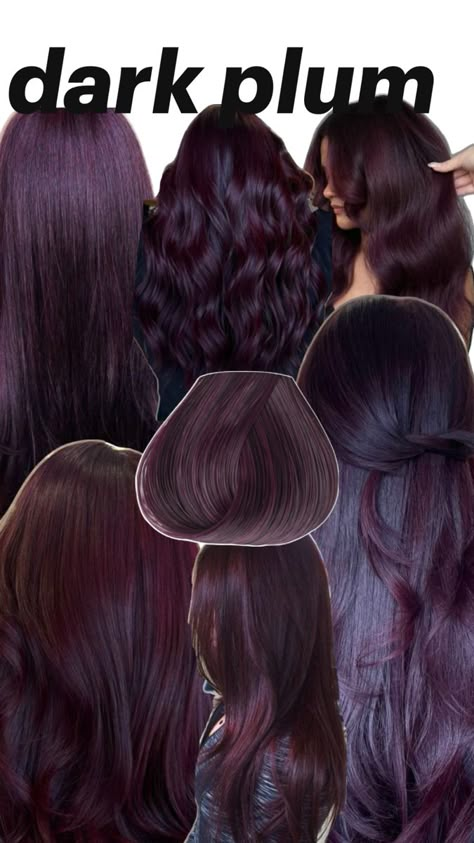 Dark Color Dyed Hair, Fall Black Hair Color Ideas, Hair Color Ideas Dark Colors, Cool Toned Plum Hair, Purple Red Highlights In Brown Hair, Black Magenta Hair, Purple Overtone On Brown Hair, Best Colors To Dye Dark Brown Hair, Prune Hair Color