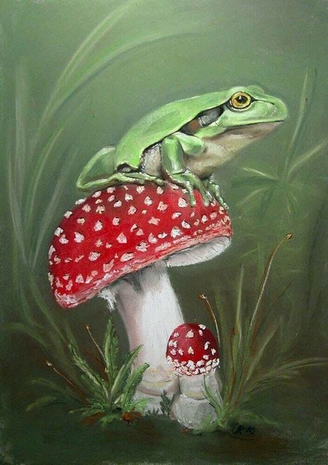 Frosch Illustration, Mushroom Paint, Mushroom Crafts, Frog Illustration, Frog Pictures, Mushroom Drawing, Frog Drawing, Magic Mushroom, Frog Art